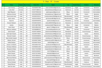 doexceldataentryand copy paste work