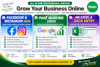 do facebook instagram ads, SEO and data entry