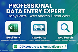 data entry ,copy paste, web search and excel work