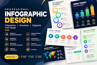 design professional infographics, flowcharts, diagrams