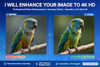 enhance your photo quality and upscale image resolution to 4k