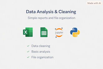 do simple data analysis, data cleaning and organize your files