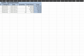 excel data entry and formatting