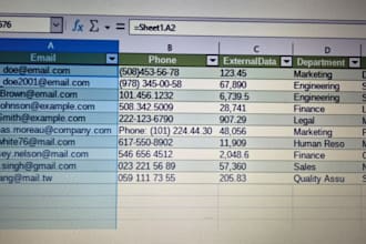 do professional excel data entry