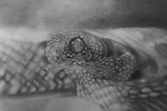 draw a hyper realistic wildlife illustration for you