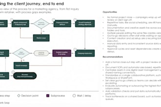 create a professional customer journey map and cx strategy
