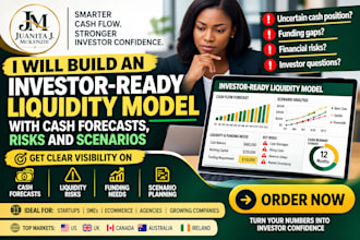 prepare investor ready liquidity model with cash forecasts risks and scenario