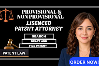 draft and file provisional and non provisional patent application uspto
