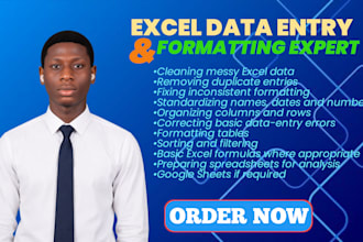 clean, organize, and format your excel or CSV data