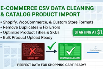 do ecommerce csv data cleaning and catalog product import