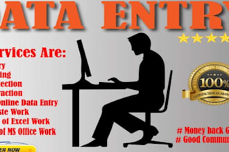 do accurate data entry and copy paste tasks