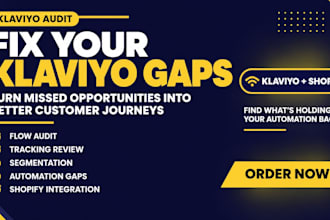 audit your klaviyo flows, tracking, segmentation and automation for shopify