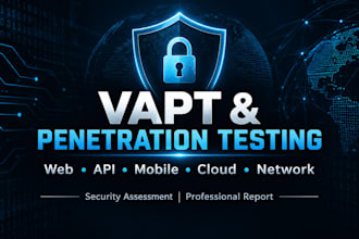 provide professional penetration testing