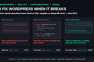 fix, customize and speed up your wordpress website