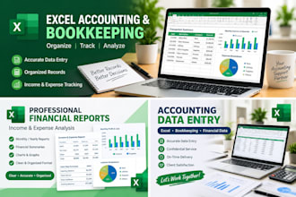 do excel accounting, data entry and financial reports