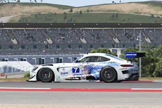 do livery services on sim racing games