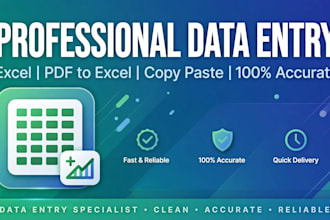do fast data entry ,excel work