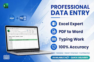 do accurate data entry, excel typing and pdf conversion