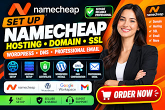 set up namecheap hosting domain ssl wordpress dns and professional email