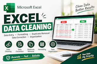 do professional data entry in excel and google sheets