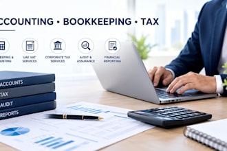 professional accounting and uae vat tax services