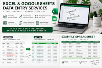 excel data entry, spreadsheet cleanup and formatting