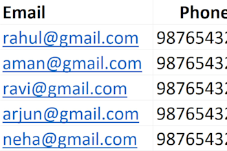 do data entry and formatting in microsoft excel
