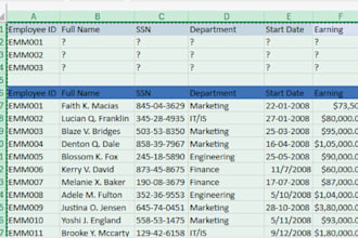 do data entry and data scrapping accurately