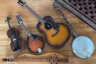 record fiddle contrabass cello violin harp guitar banjo charango cuatro mandolin