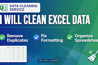 do data cleaning , clean excel data , remove duplicates and organize spreadsheet