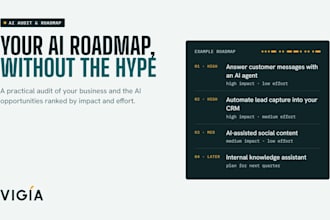 do an ai business audit and roadmap with tools and budget