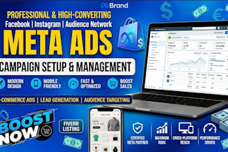 manage meta ads and roas optimization for shopify