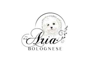 design a custom pet logo, dog, cat, and animal branding for pet stores