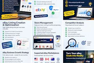 be your ebay consultant