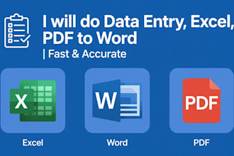do data entry excel work pdf to word and typing work