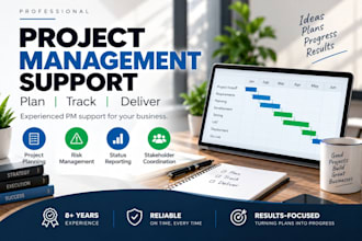 provide short term project management support