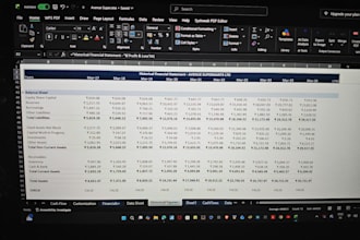 build a financial model or business budget in excel