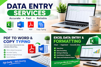 do accurate data entry and copy typing