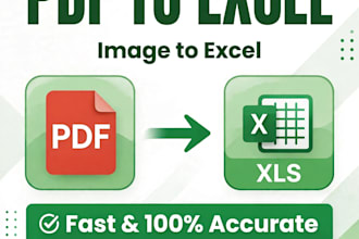 convert PDF to excel image to excel and do accurate data entry