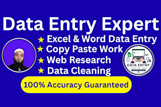 do professional data entry and virtual assistant tasks