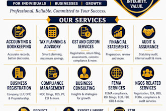 provide accounting and finance services