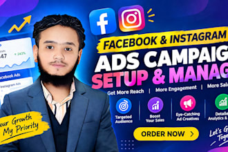 manage facebook and instagram ads and meta ads campaign