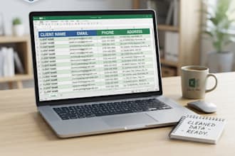 do excel data entry, pdf conversion and data cleaning