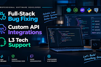 fix web app bugs, resolve technical issues, integrate API