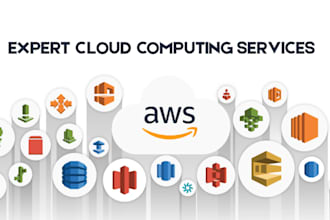 provide expert cloud computing services