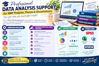 do statistical analysis for dnp projects, msn, and nursing research projects
