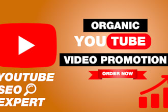 organic youtube video promotion and video seo