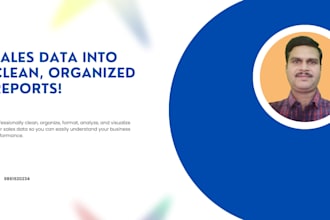 clean, organize and analyze your sales data and create charts