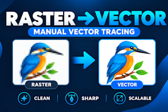 manually trace your image into a clean vector