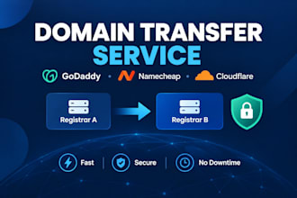 transfer your domain between godaddy and namecheap or cloudfare